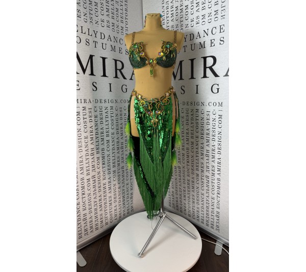 Professional bellydance costume Classic 485A_1